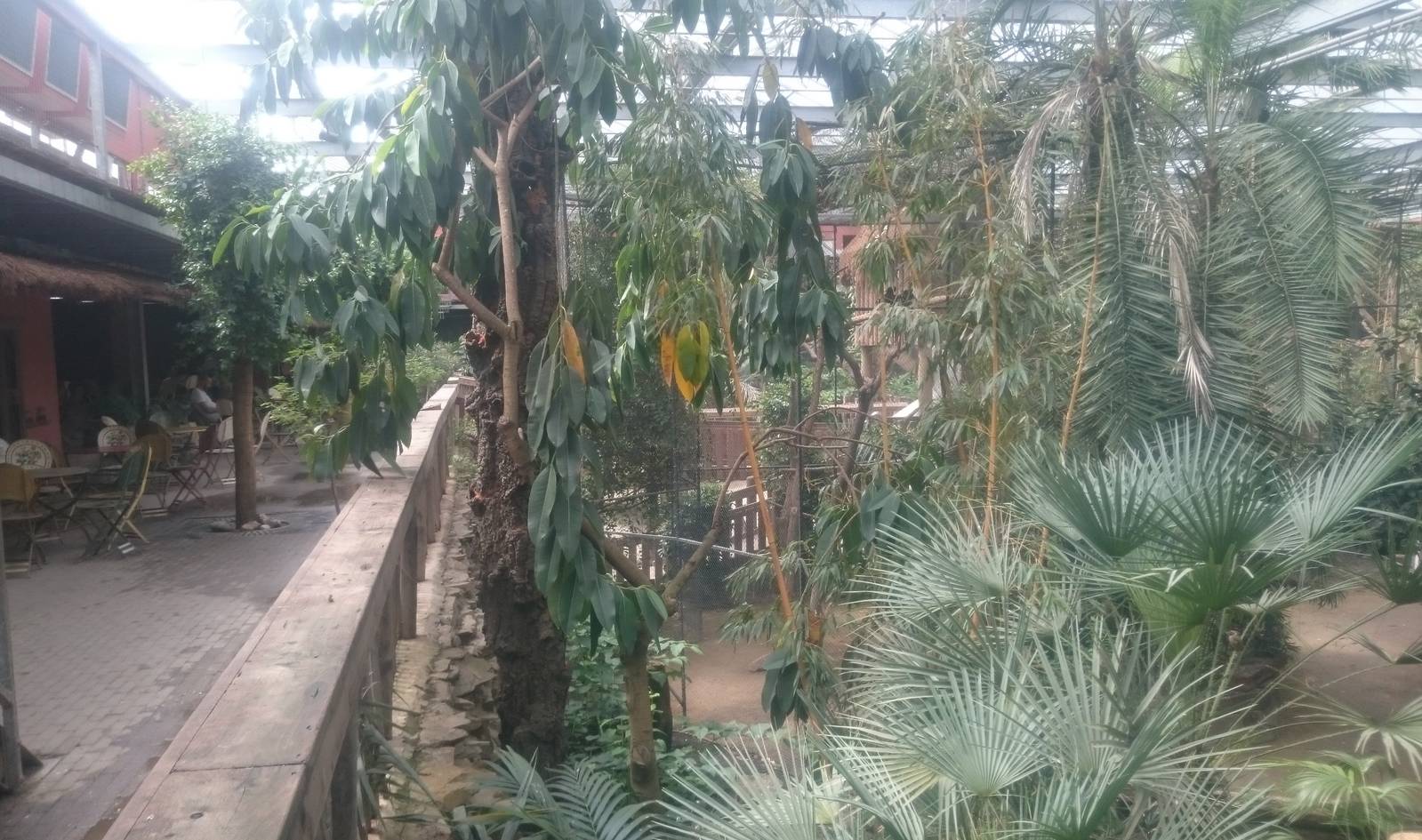 Bamboe Jungle: Terras and Play-ground