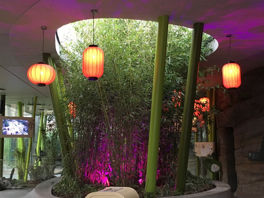 Bamboo display inside Giant Panda House 290118