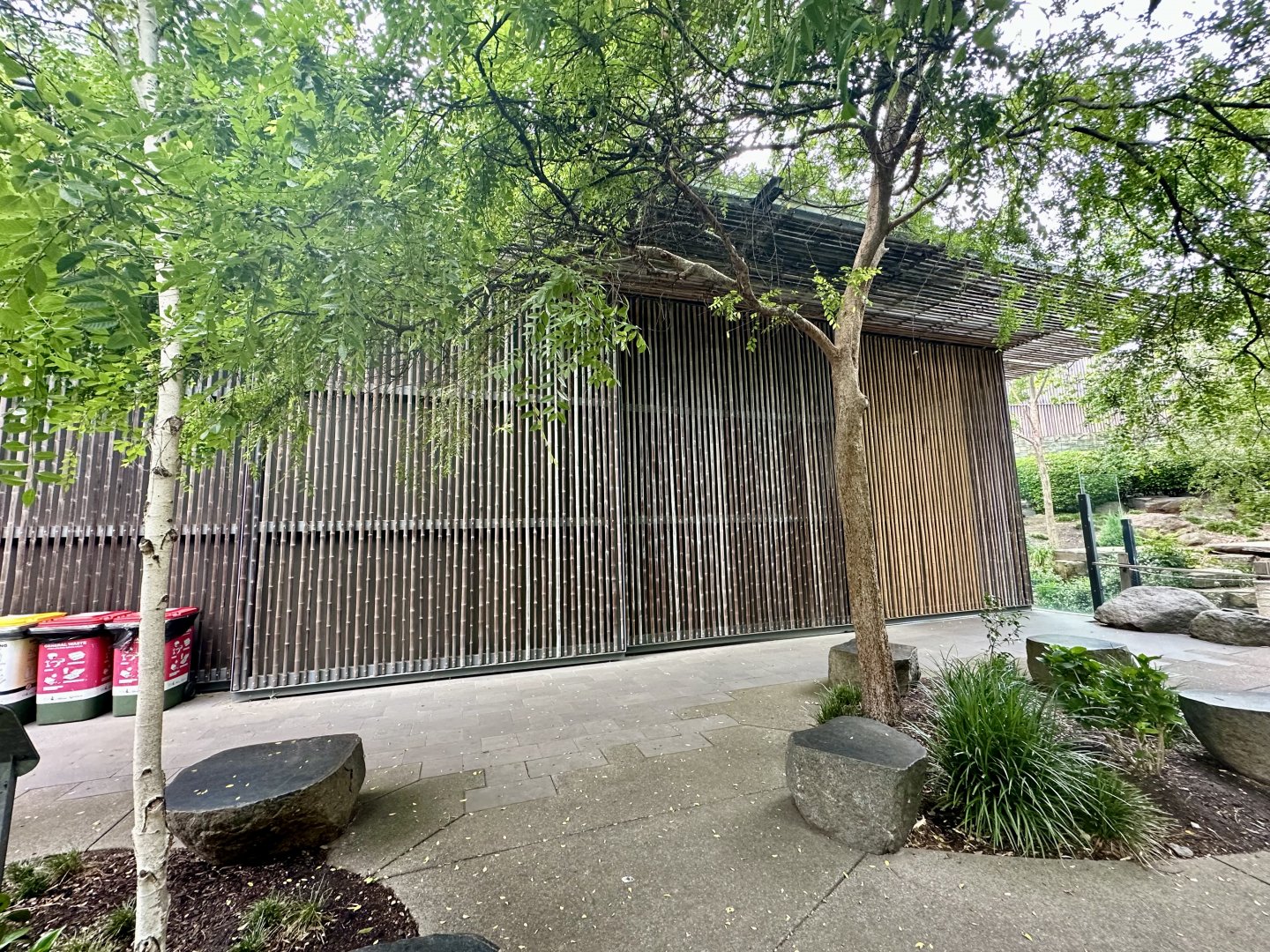 Bamboo Forest - Giant Panda Building