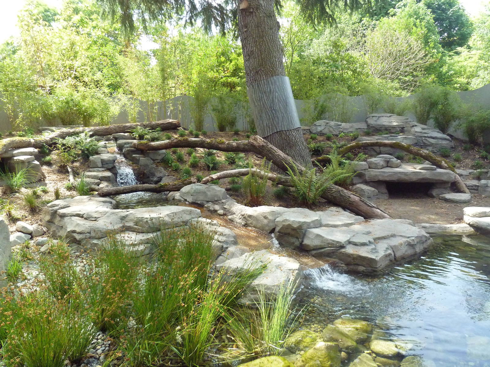 Bamboo Forest Reserve (New In 2013)