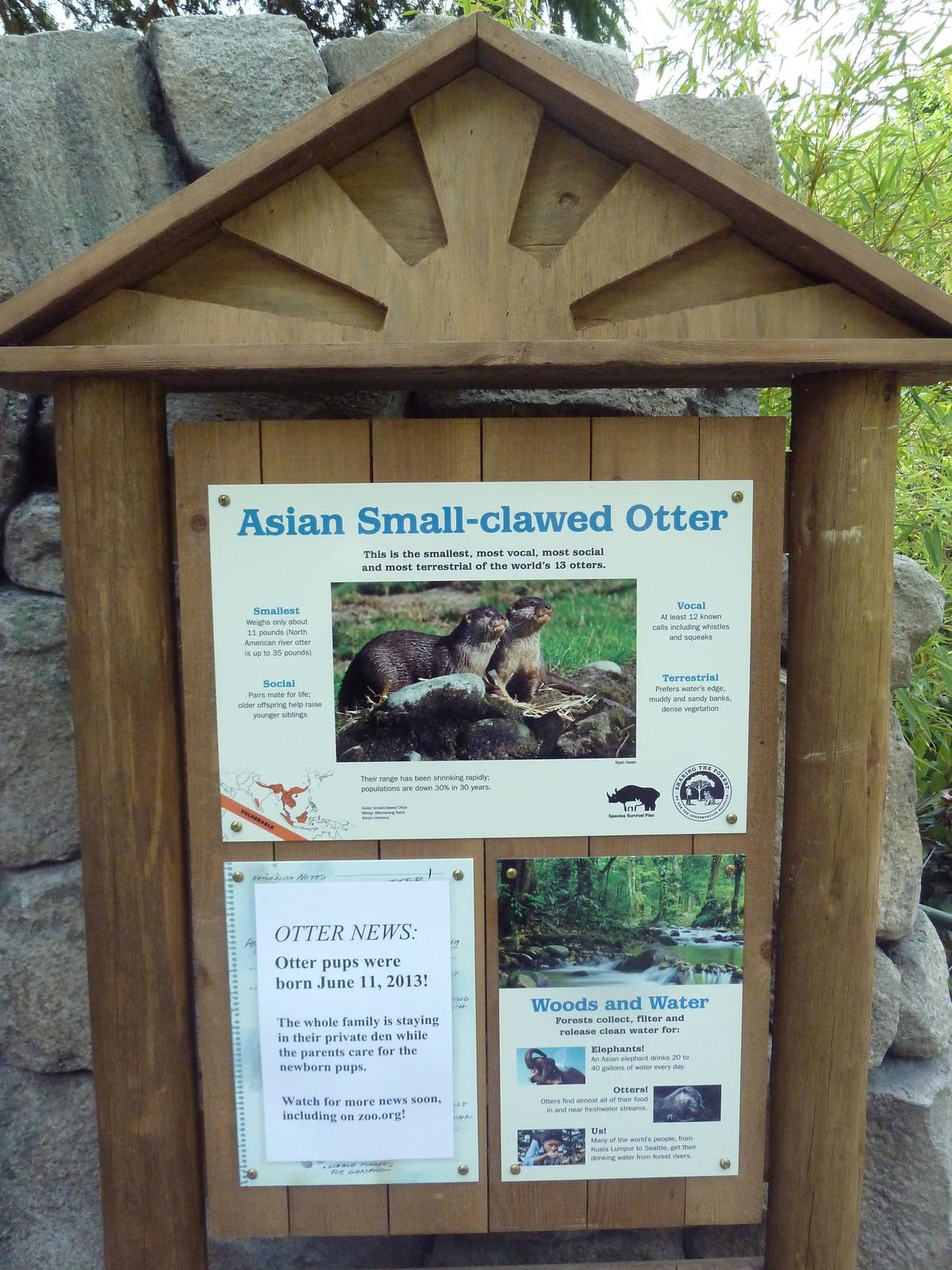 Bamboo Forest Reserve (New In 2013)