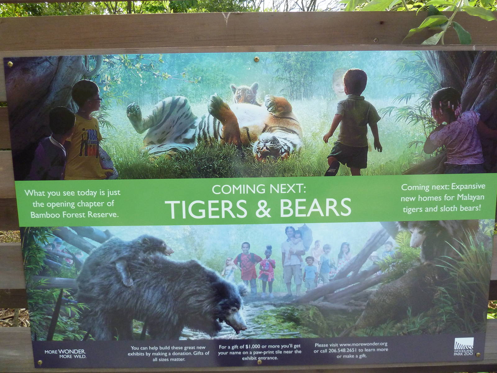 Bamboo Forest Reserve (New In 2013)