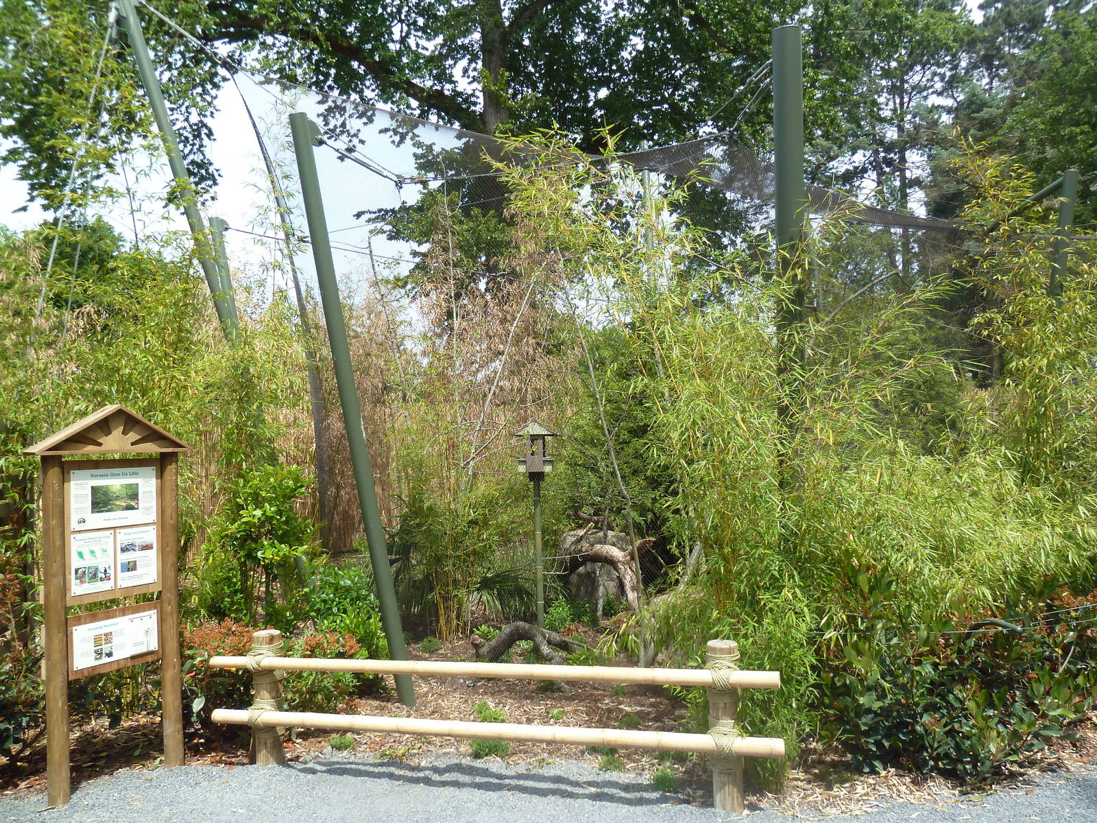 Bamboo Forest Reserve (New In 2013)