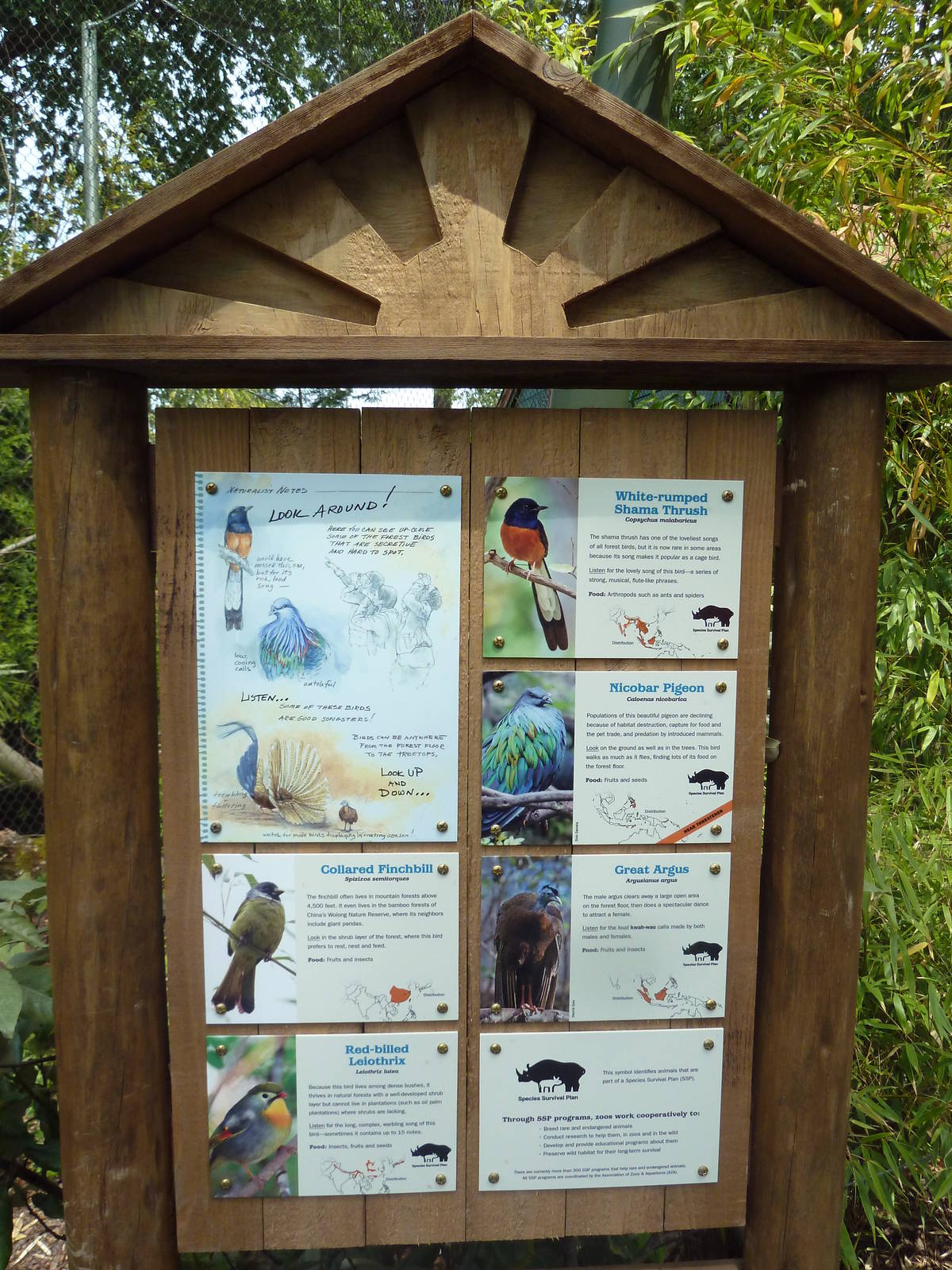 Bamboo Forest Reserve (New In 2013)