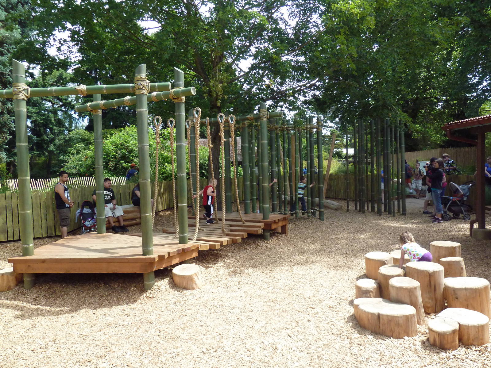 Bamboo Forest Reserve (New In 2013)