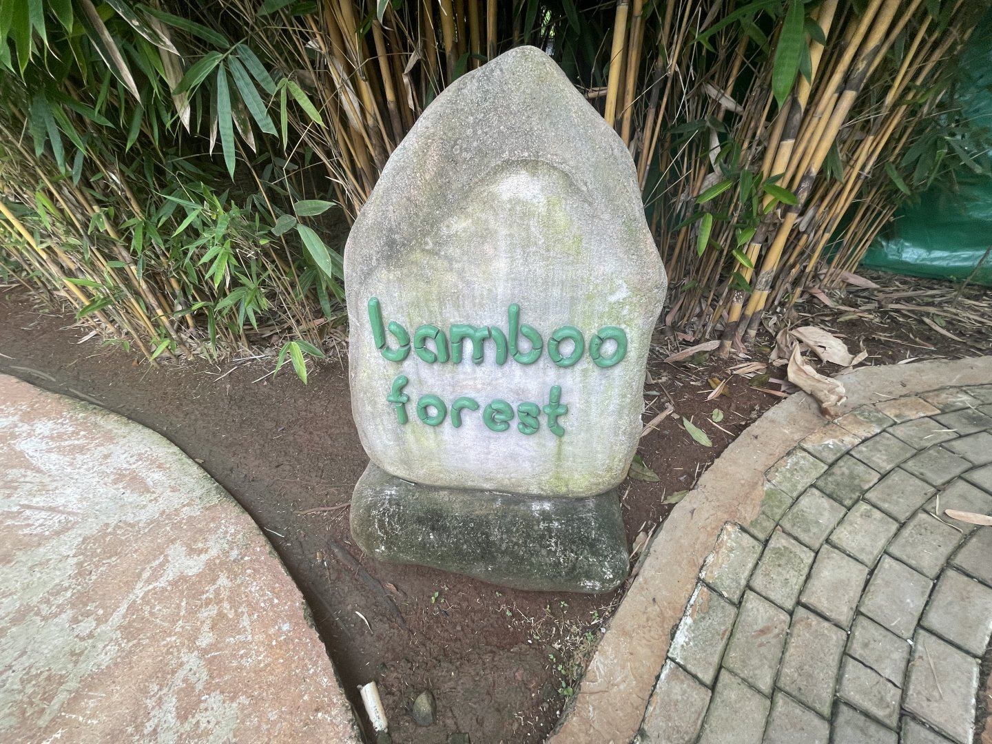 bamboo forest signage - aviary park
