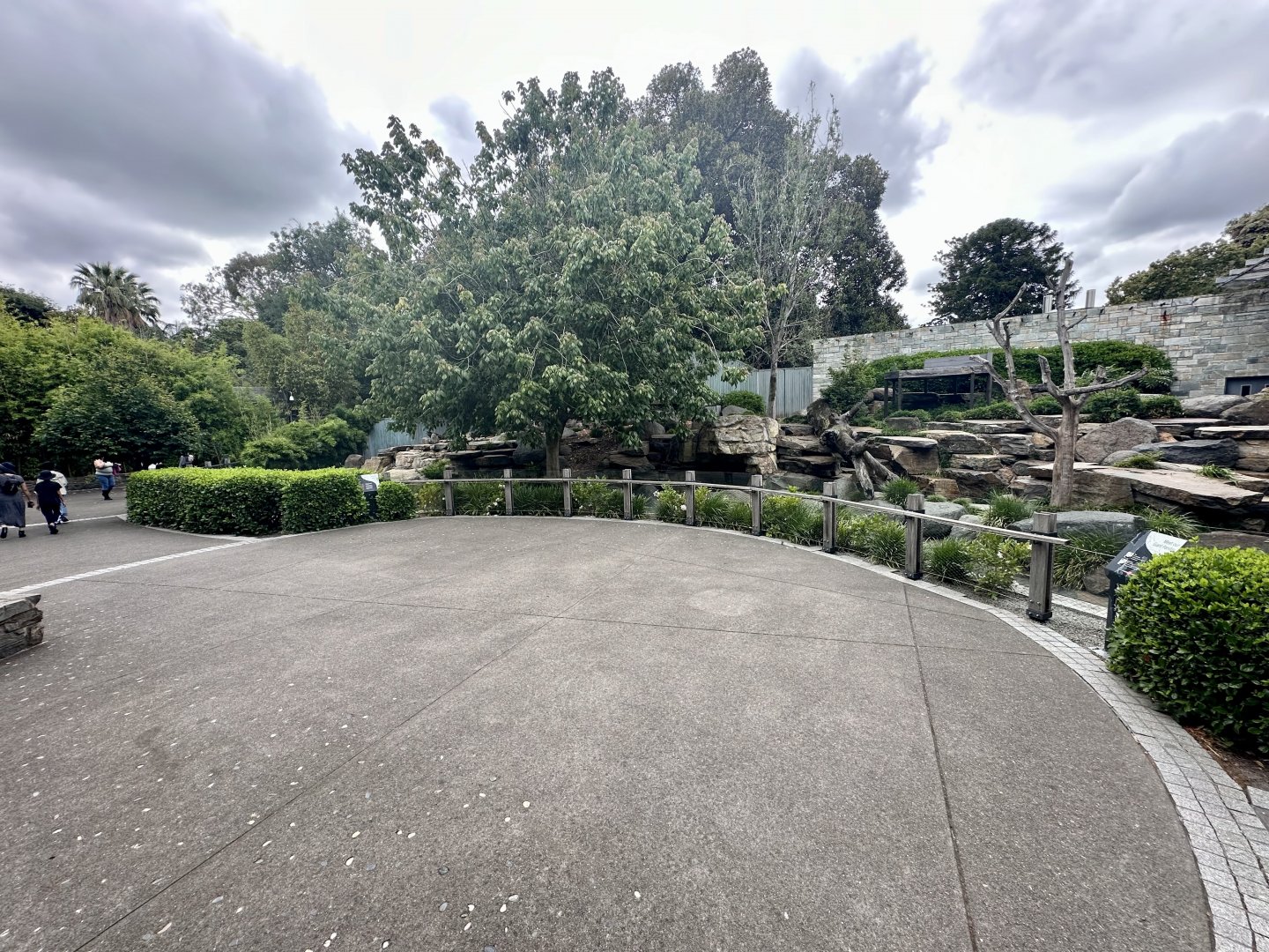 Bamboo Forest - Viewing Stage