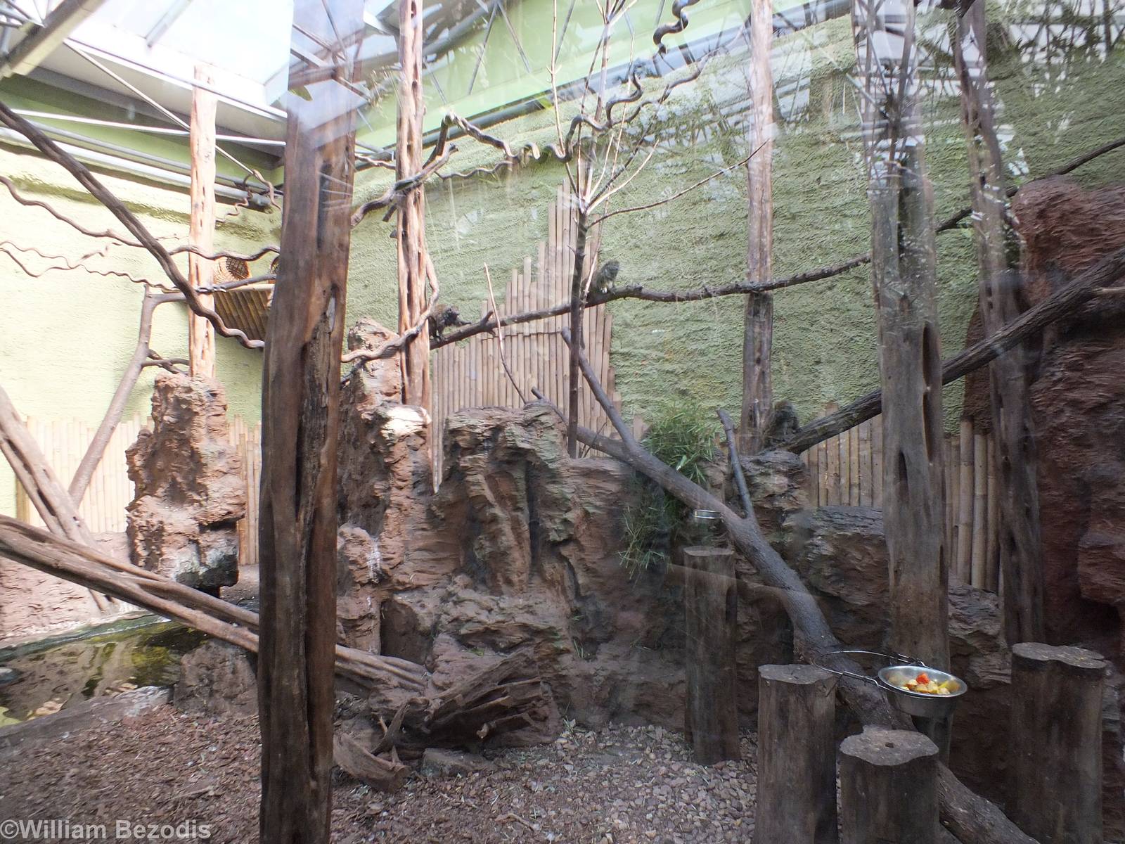 Bamboo Lemur Enclosure