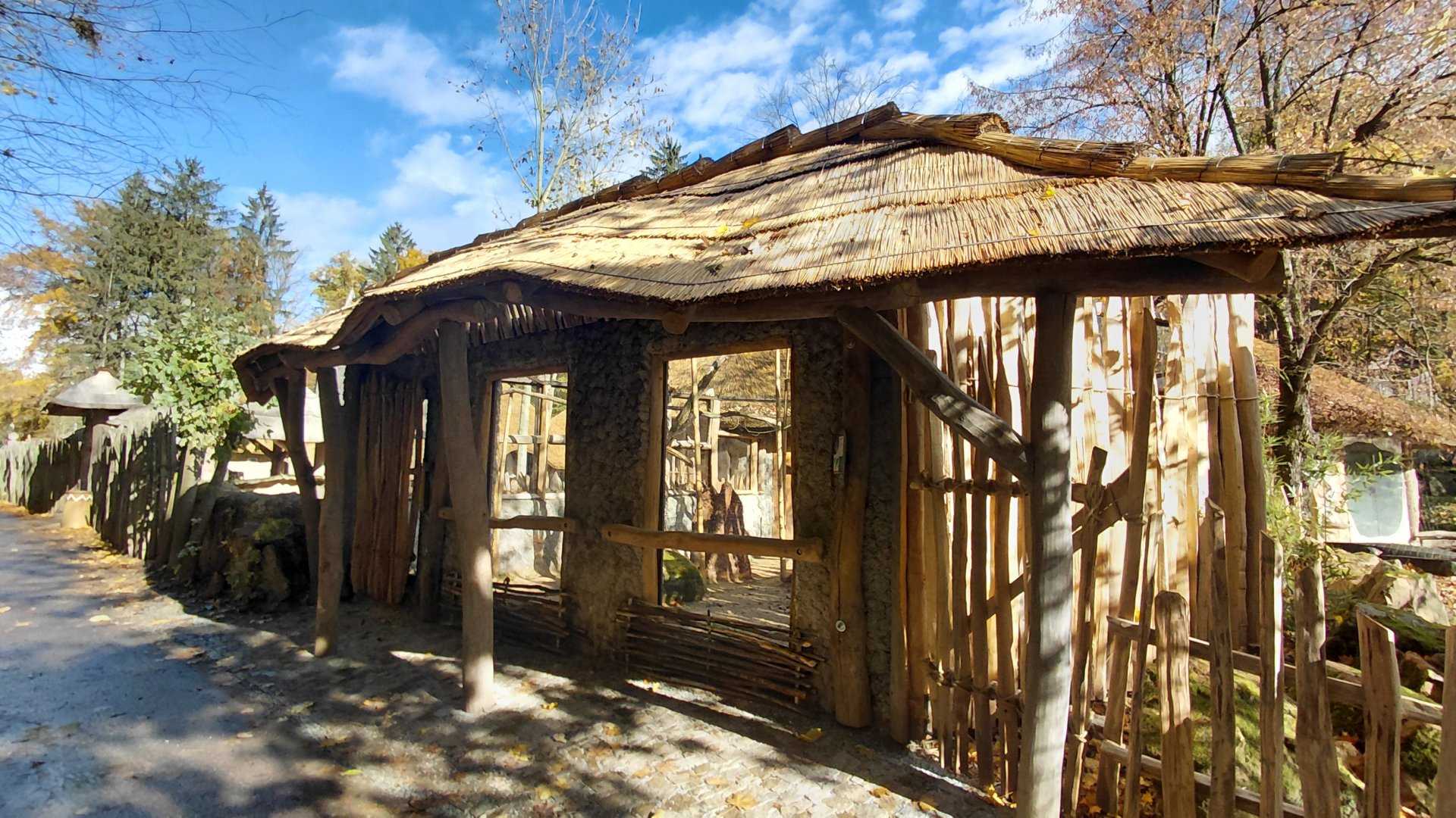 Bamboo lemur outdoor exhibit