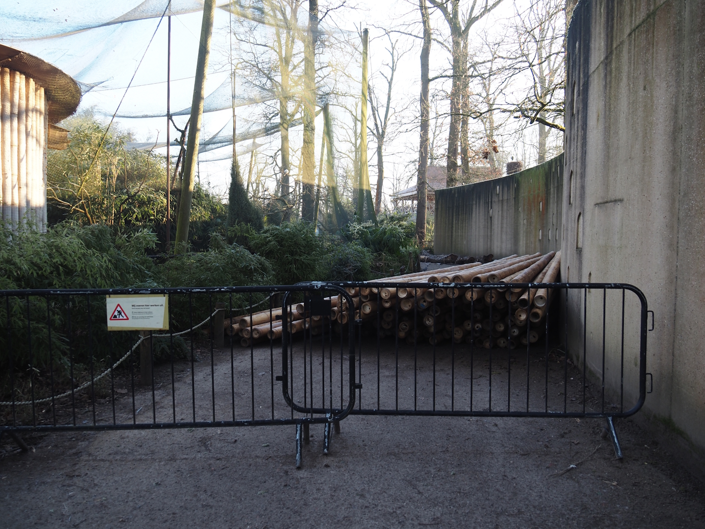 Bamboo poles, possibly for aviary or bird hut renovations, next to Demoiselle crane aviary, 2025-02-02