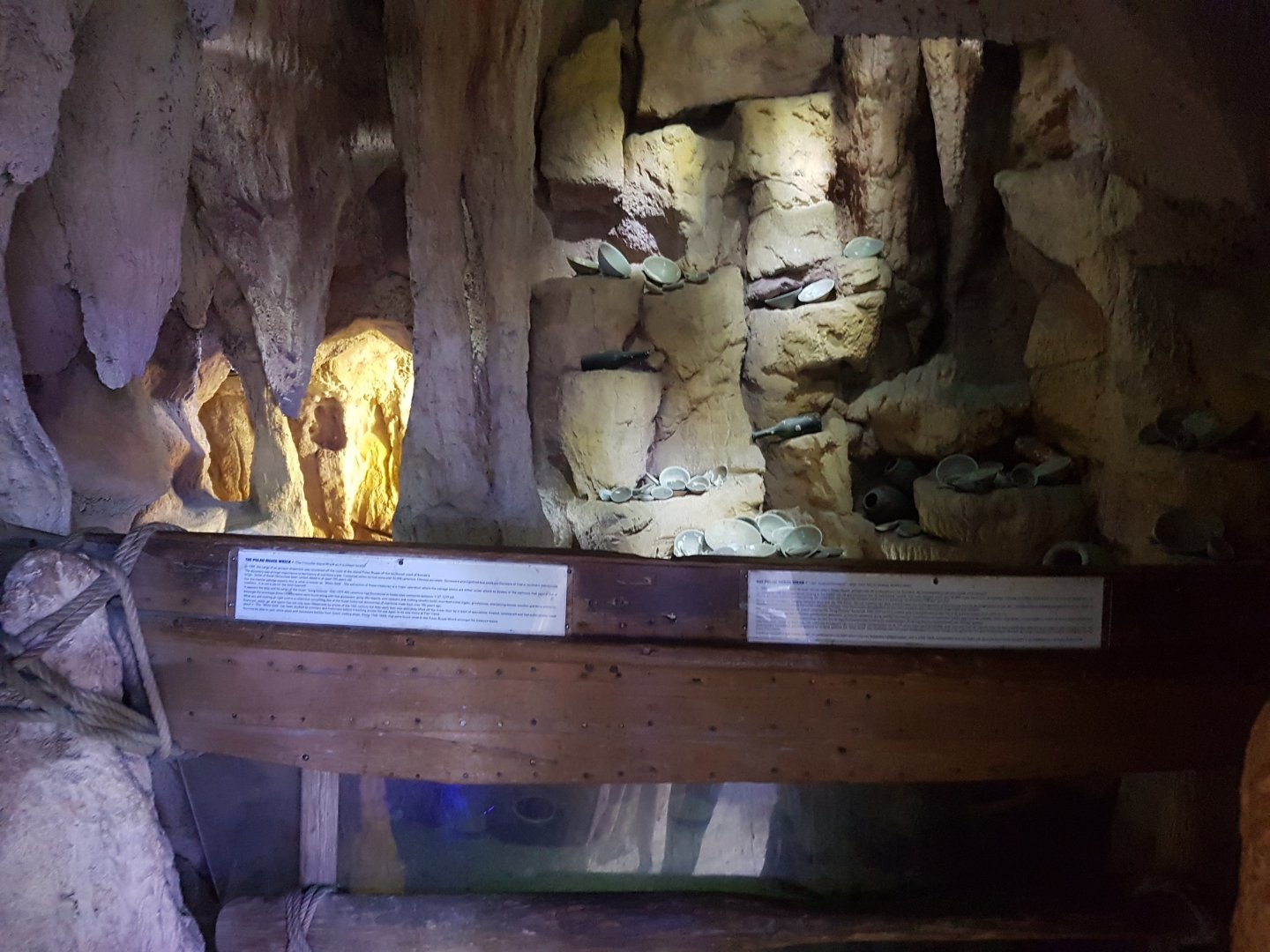 Bamboo shark and ray-aquarium