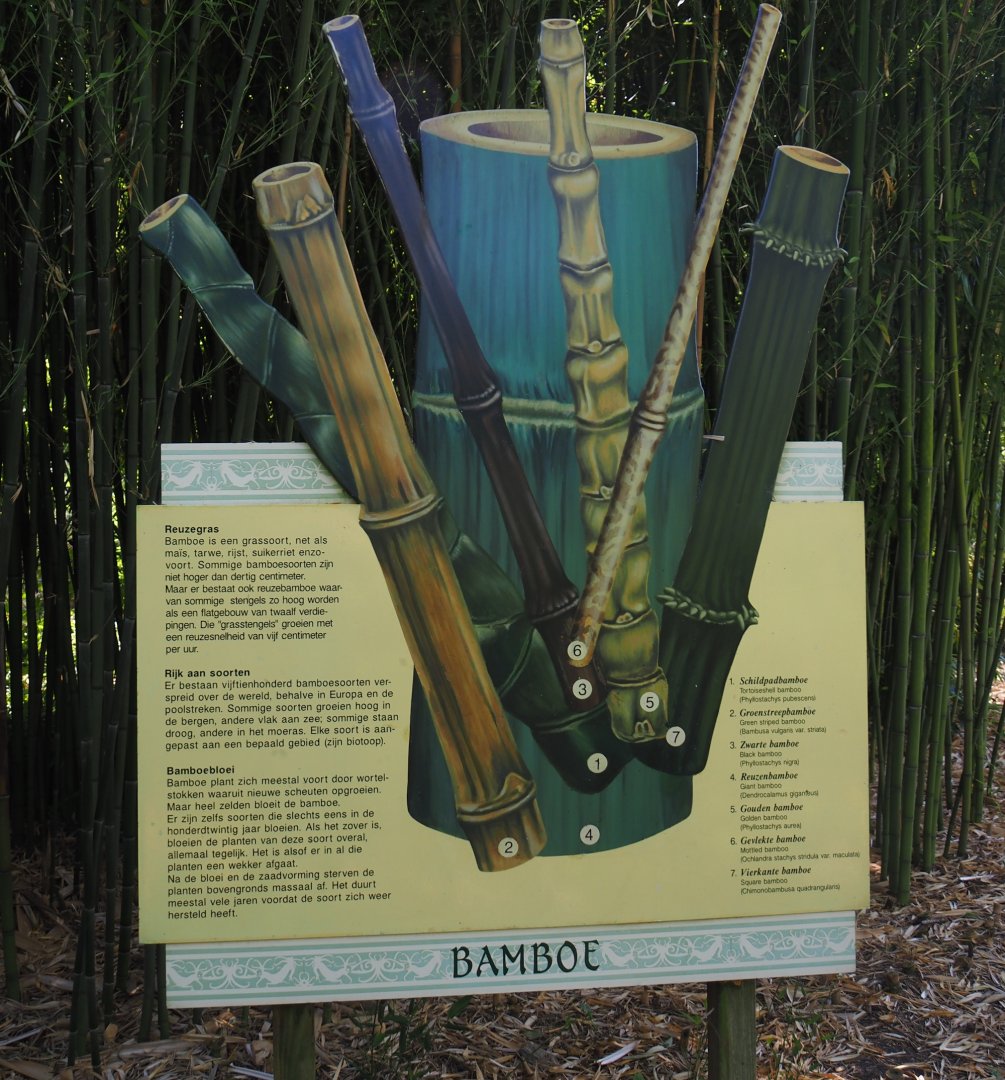 Bamboo signage, 2024-06-30