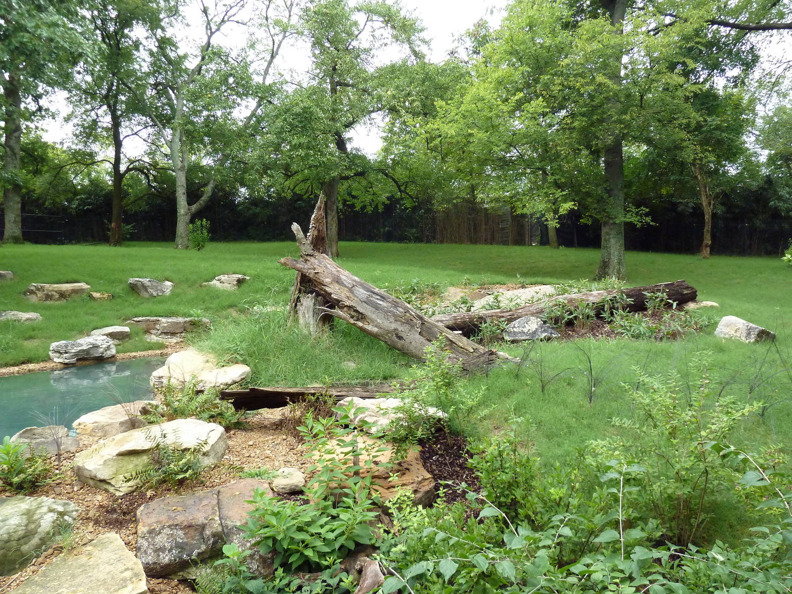 Bamboo Trail - Baird's Tapir Exhibit