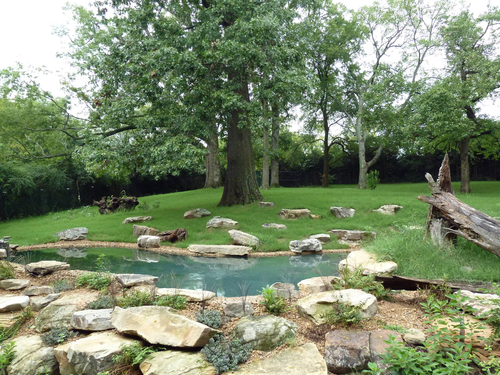 Bamboo Trail - Baird's Tapir Exhibit