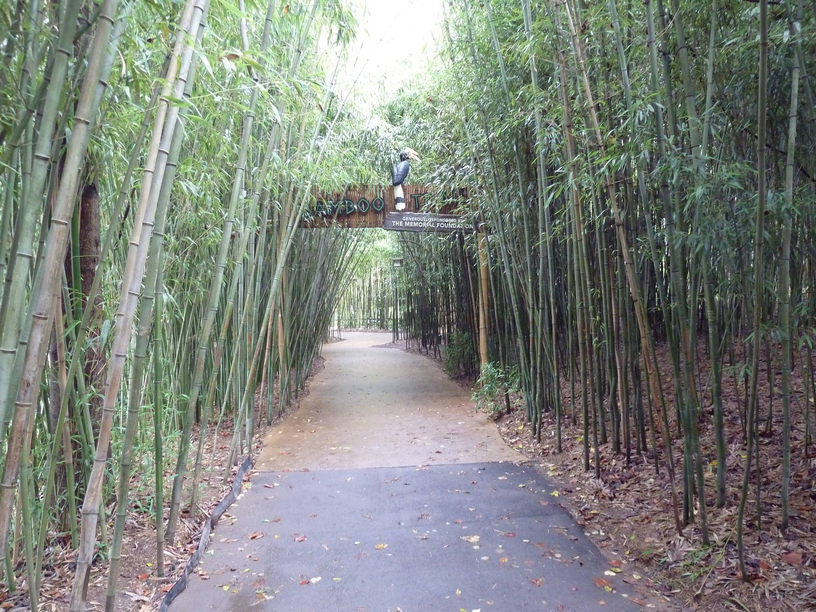 Bamboo Trail