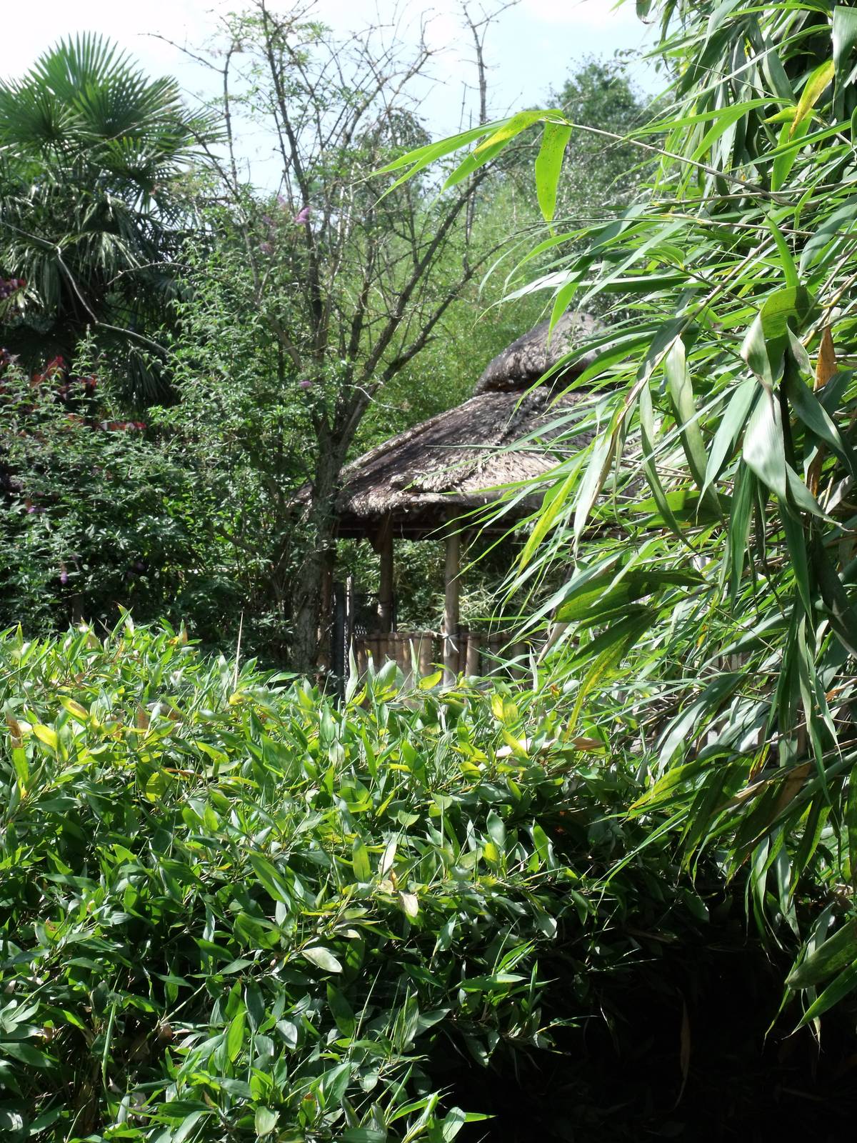 Bambu shelter above flamigo exhibit