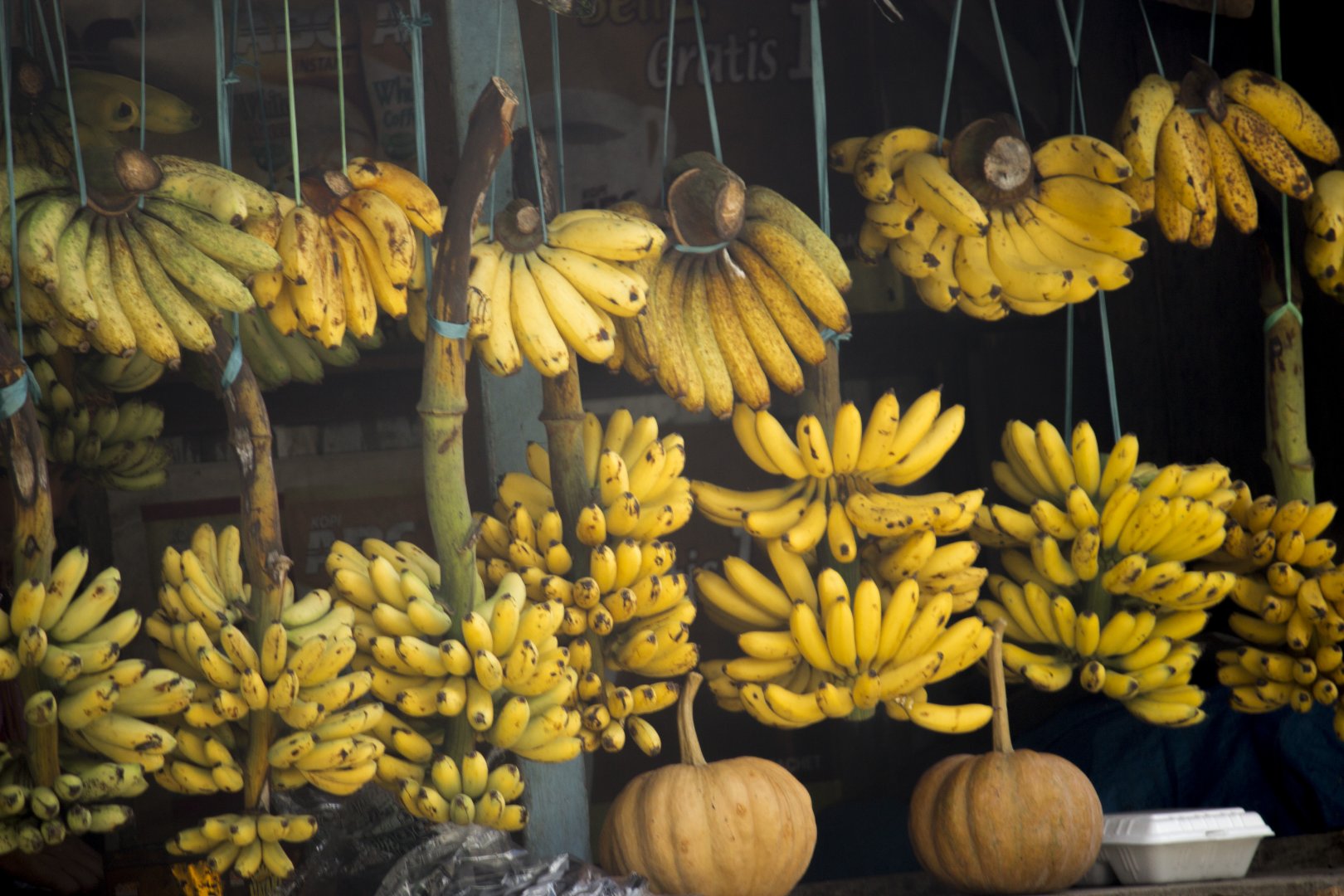 Banana stalls in front of zoo entrance