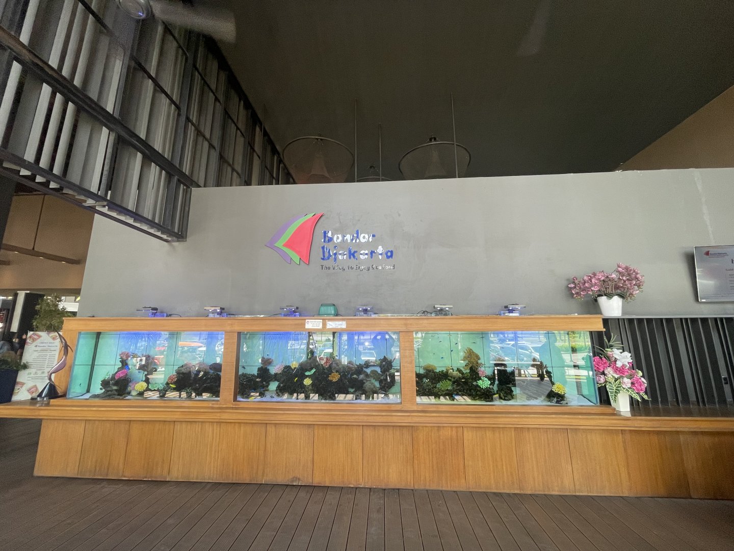 bandar djakarta pantai indah kapuk 2’s saltwater aquarium