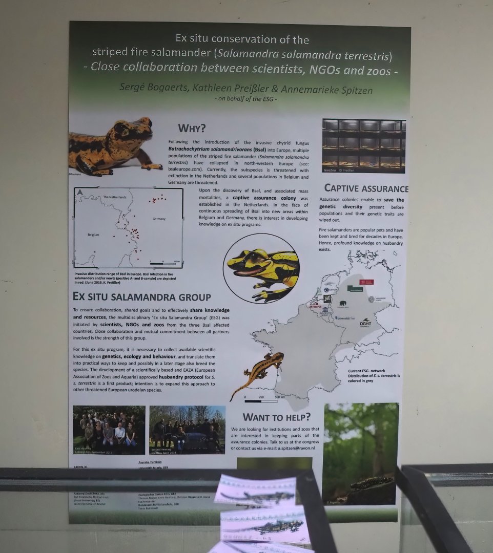 Banded fire salamander conservation project signage, 2024-06-30