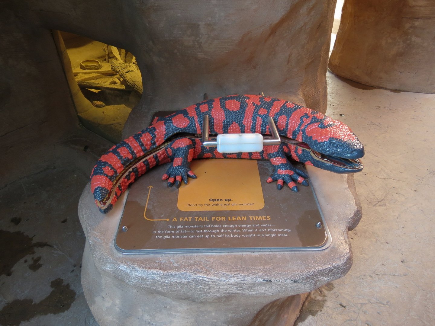 Banded Gila Monster Exhibits - Monster Model