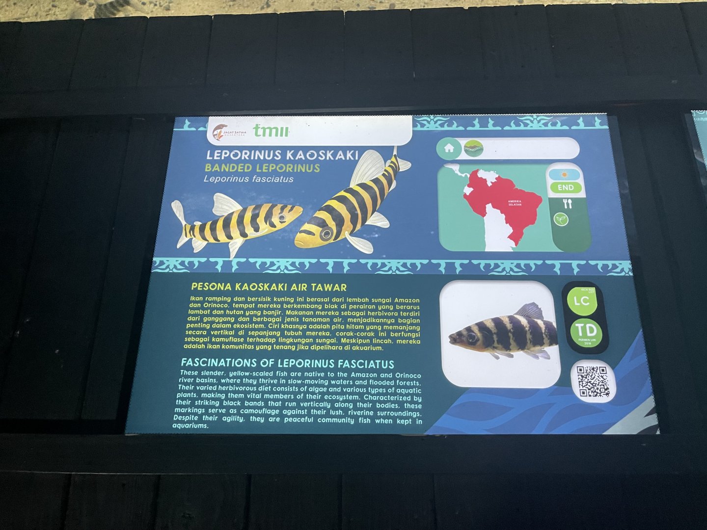 banded leoprinus signage - dunia air tawar