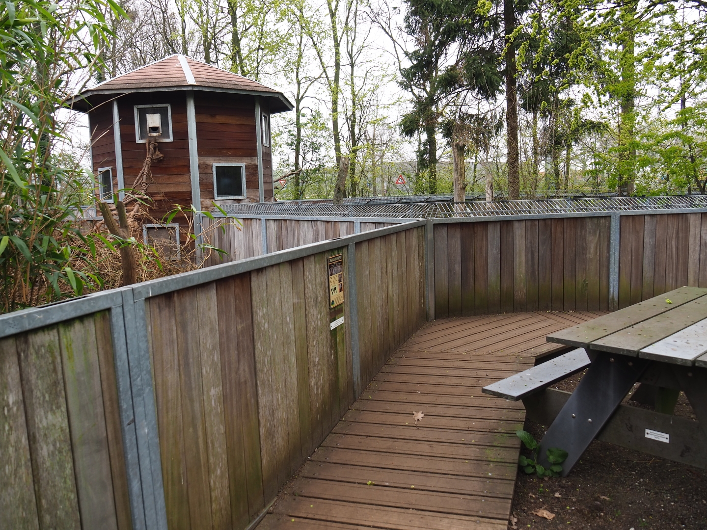 Banded mongoose and bat-eared fox viewing area, 2019-04-06