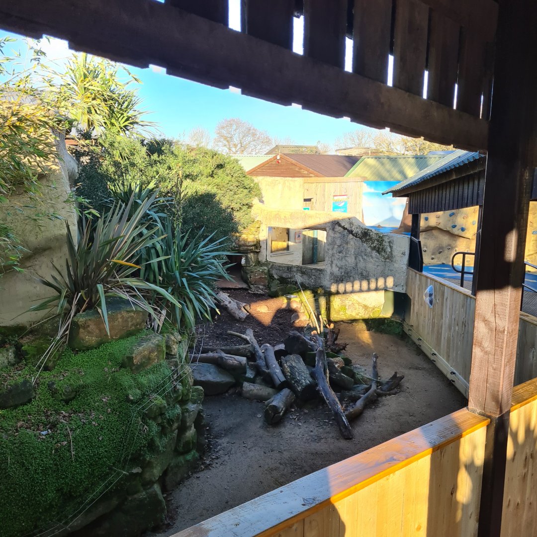 Banded Mongoose and Porcupine Exhibit, Drusillas Park