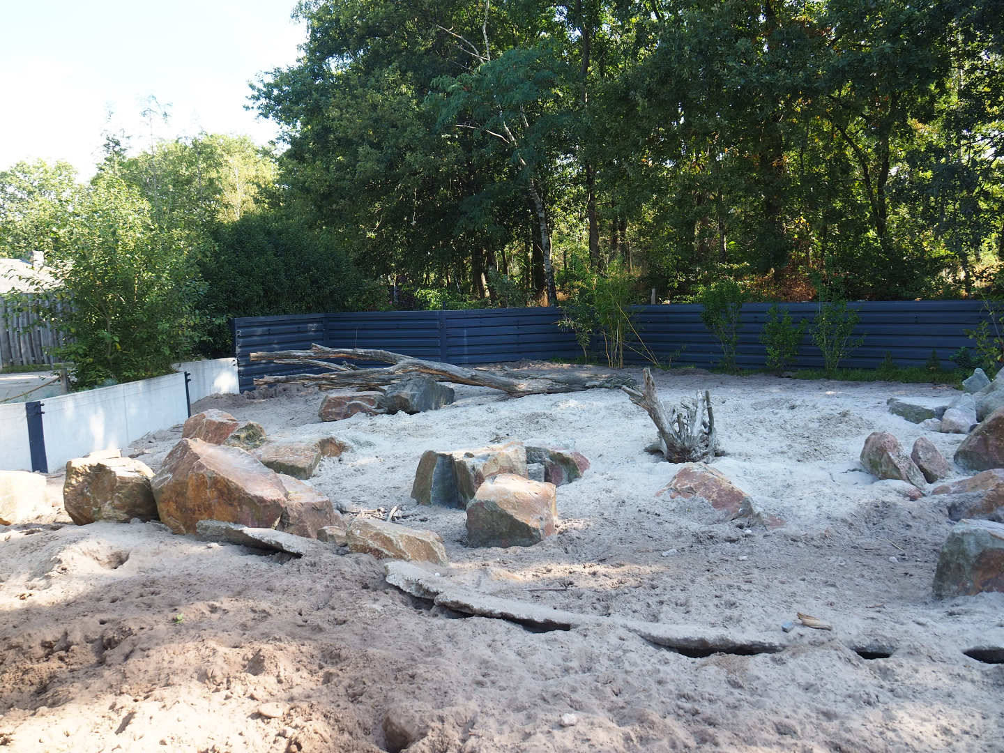 Banded mongoose and Red river hog exhibit, 2019-09-15