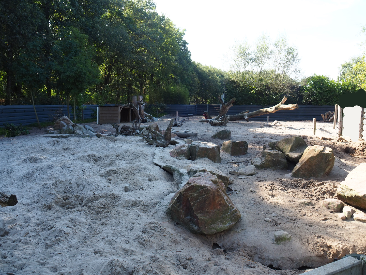 Banded mongoose and Red river hog exhibit, 2019-09-15