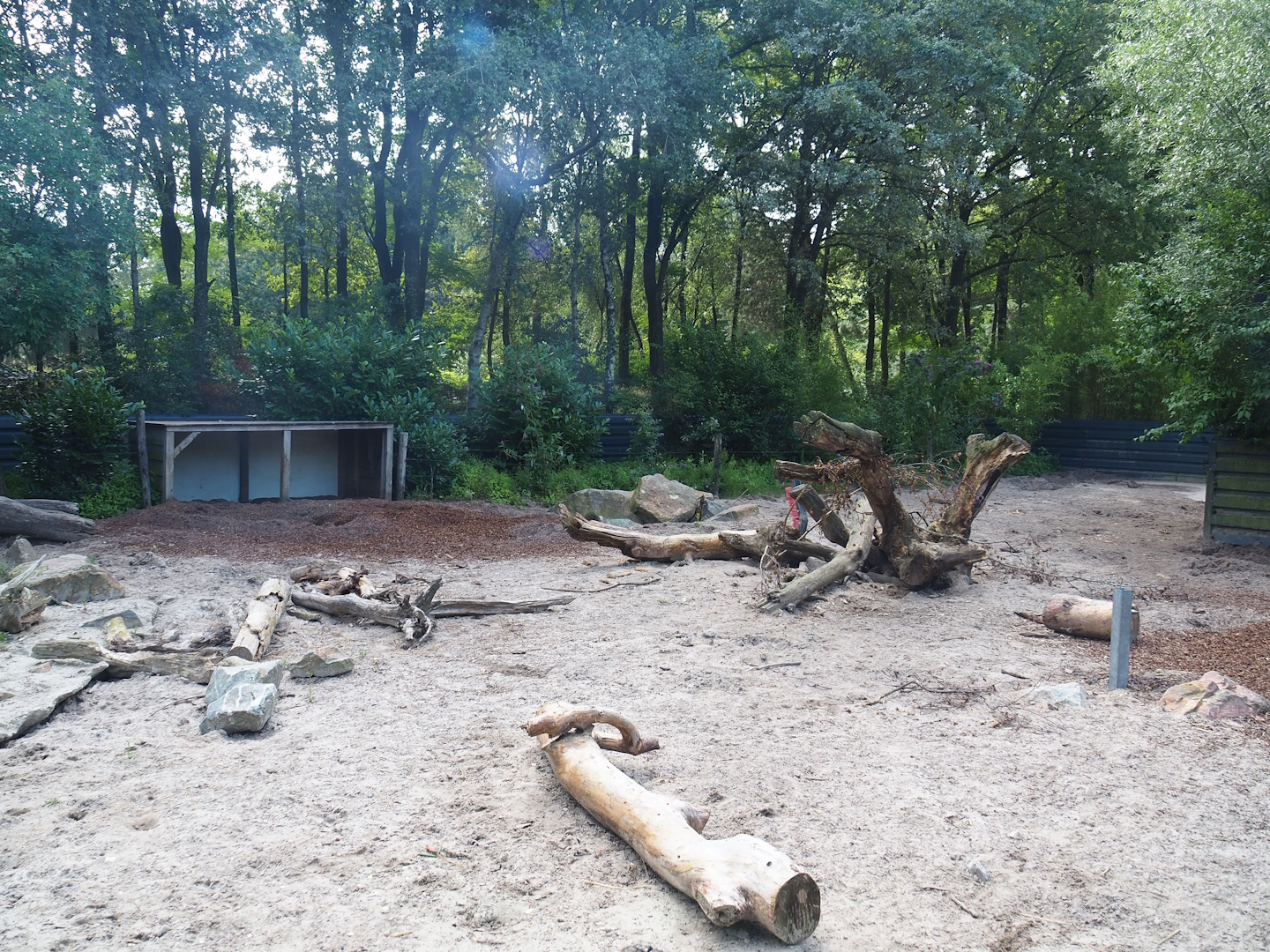 Banded mongoose and Red river hog exhibit, 2023-08-15