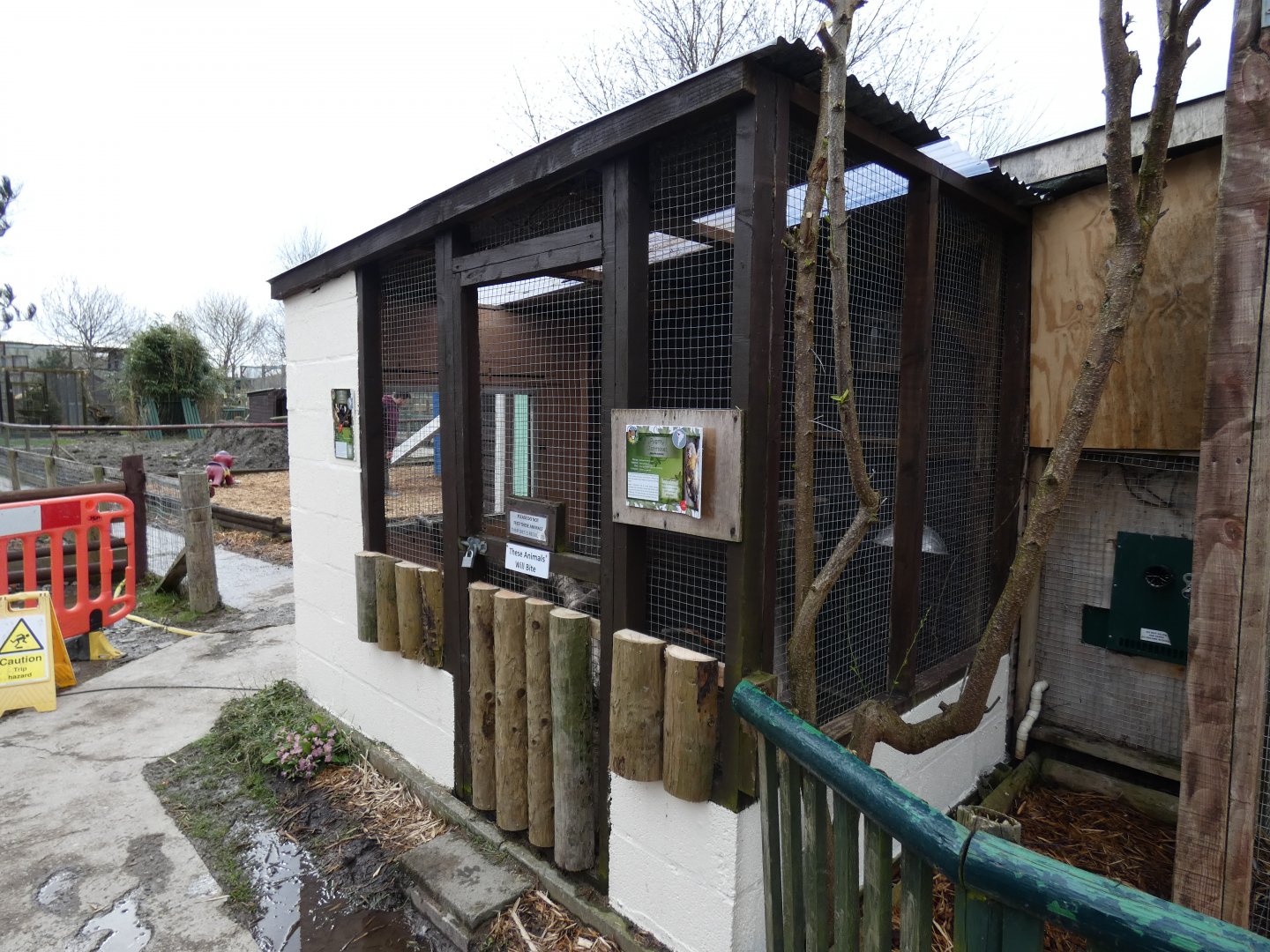 Banded Mongoose Enclosure (Former Marmoset Enclosure)