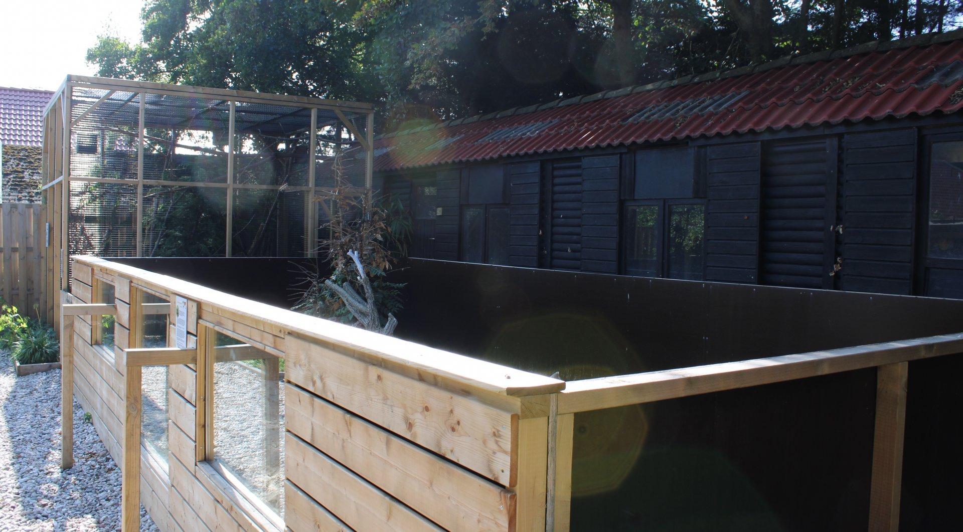 Banded mongoose enclosure ( front ) and Finlayson's squirrel enclosure ( back )