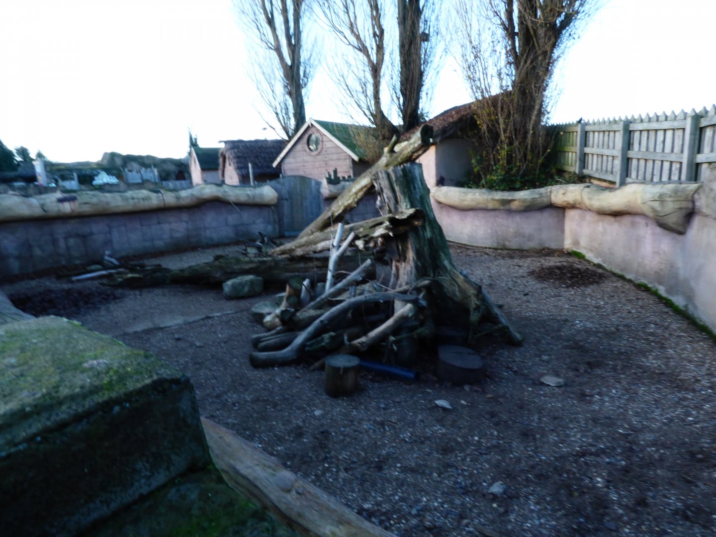 Banded Mongoose Enclosure