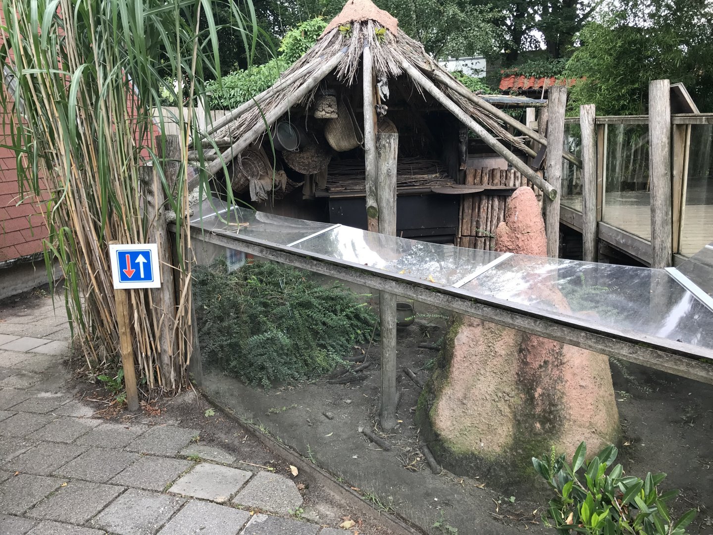 Banded mongoose enclosure