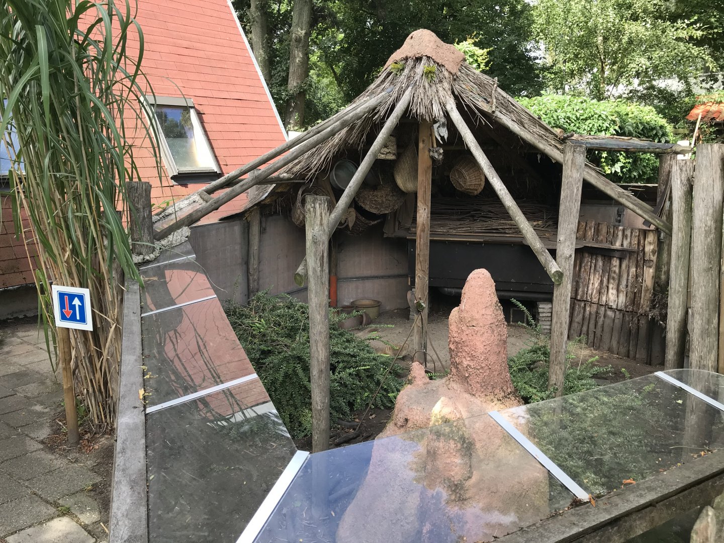 Banded mongoose enclosure