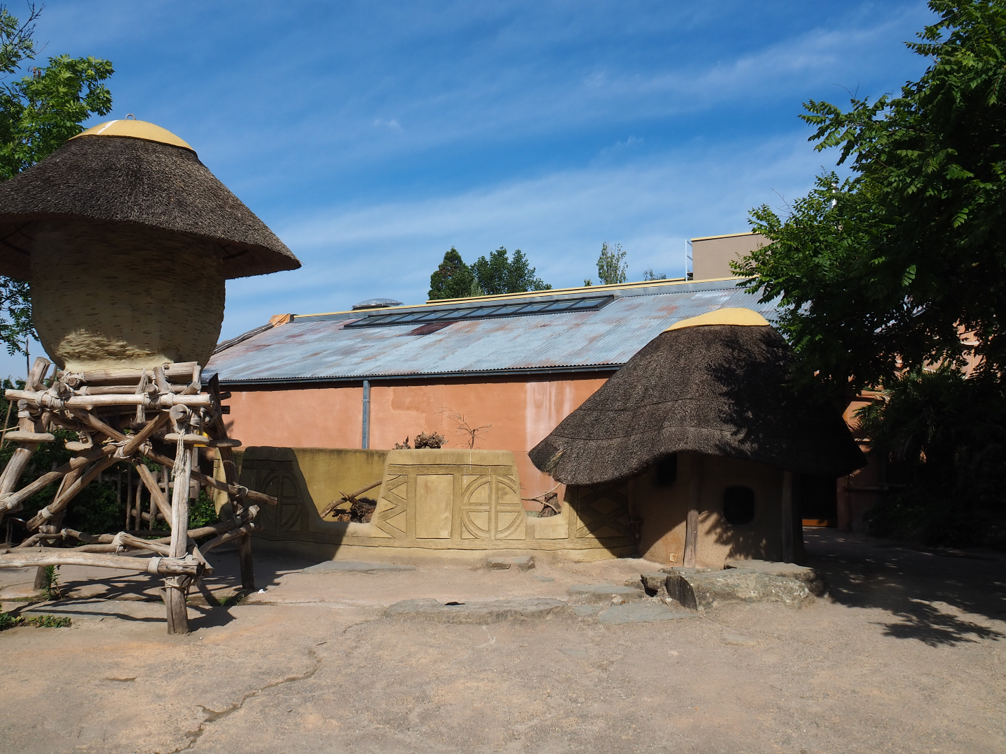 Banded mongoose exhibit and Bonobo house, 2020-06-12