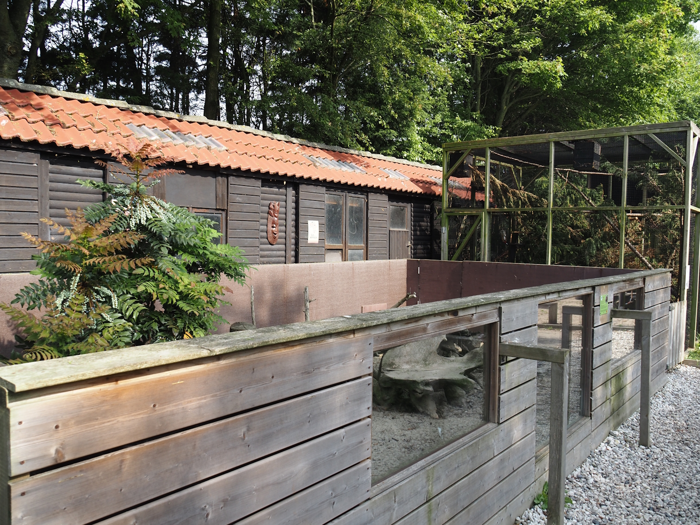 Banded mongoose exhibit and Pegu red squirrel exhibit, 2024-05-11