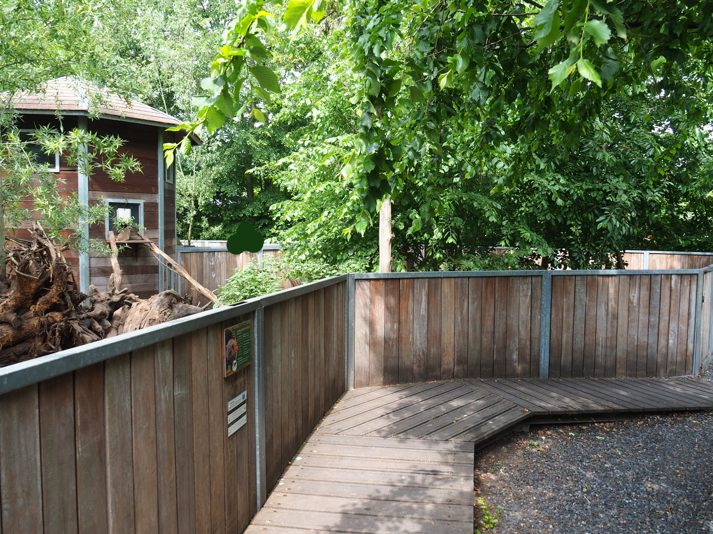 Banded mongoose exhibit and viewing area, 2022-05-17