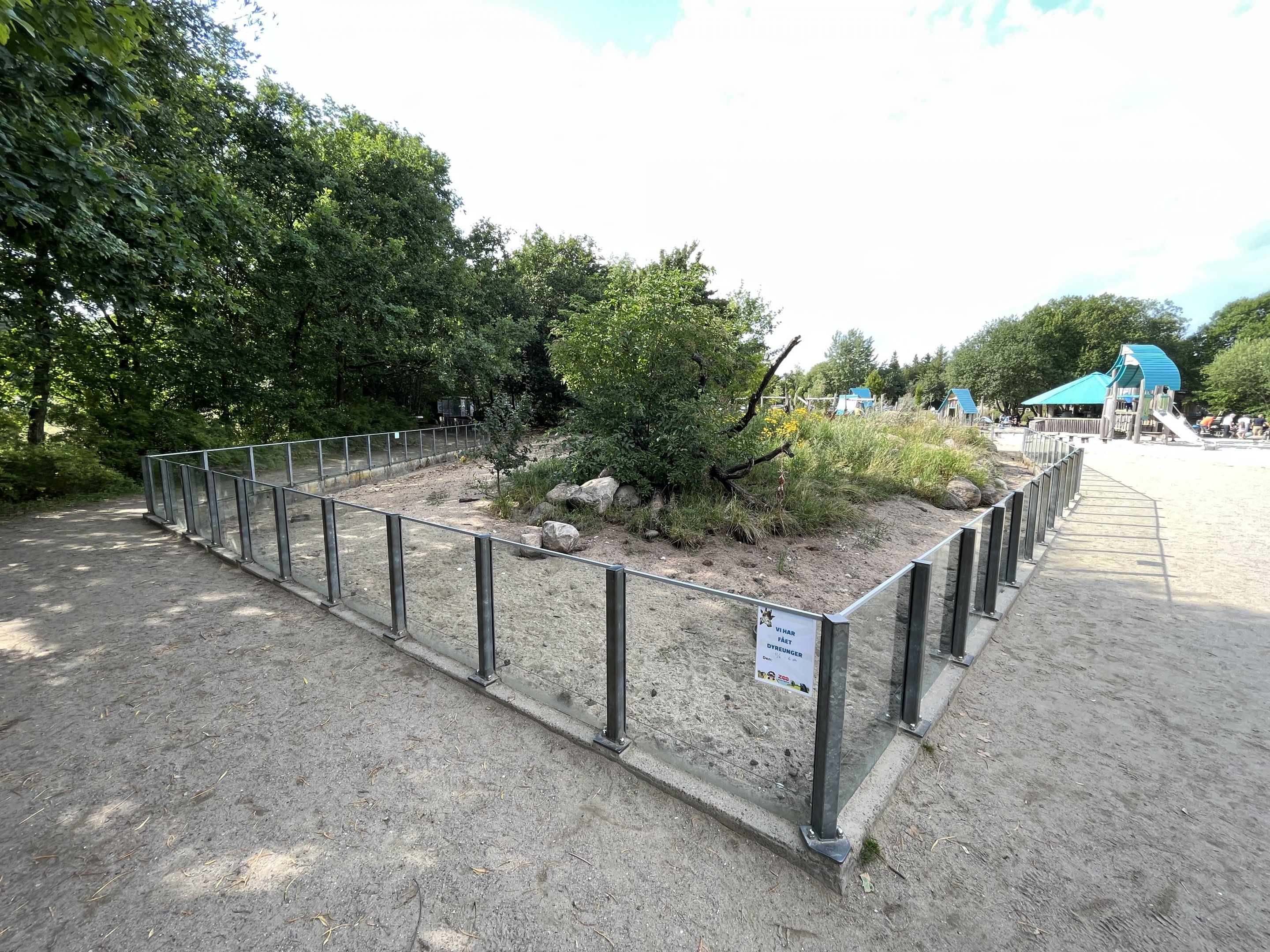Banded Mongoose Exhibit - huge!