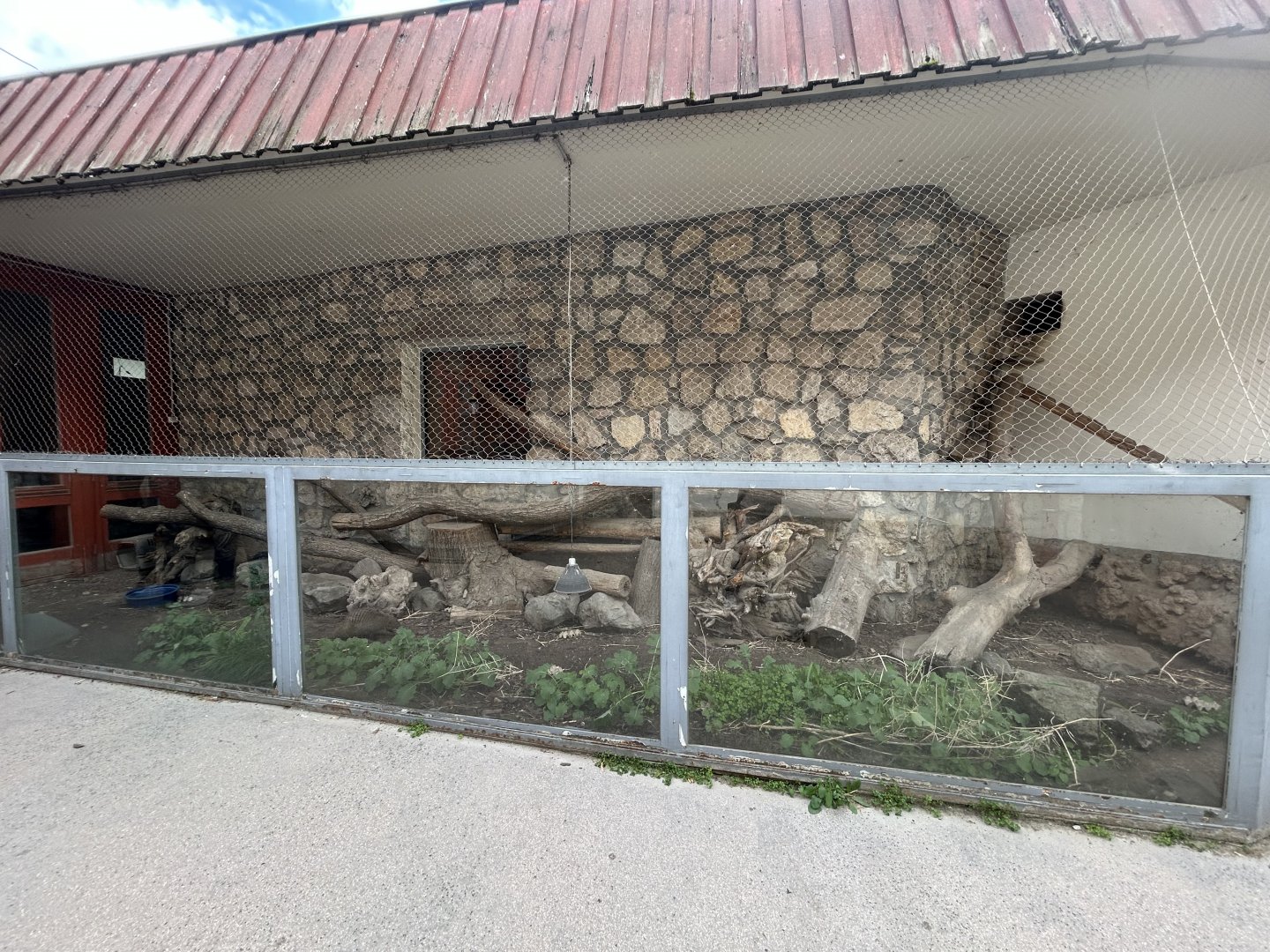 Banded Mongoose Exhibit - Savanna House