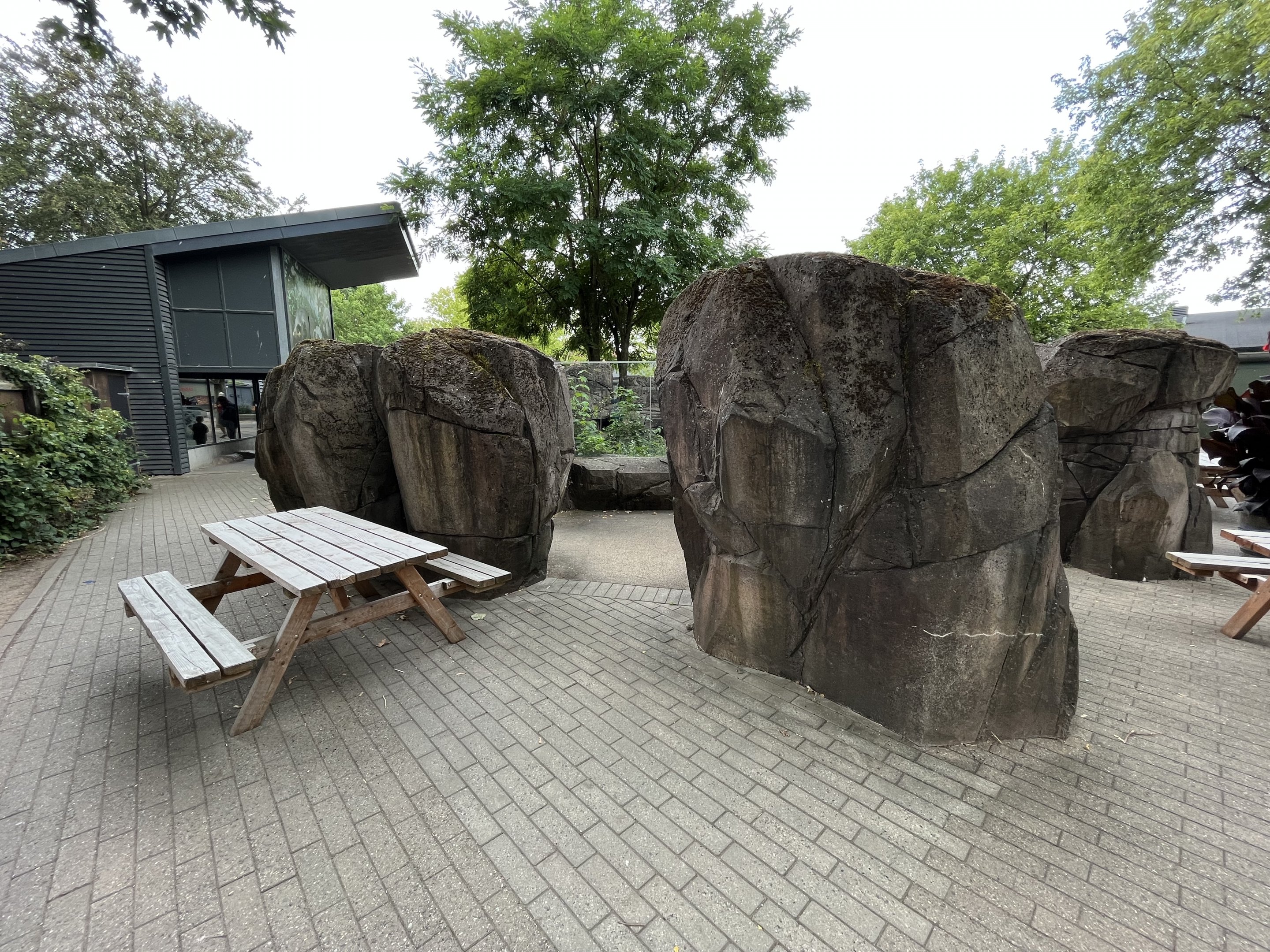 Banded Mongoose Exhibit - visitor area