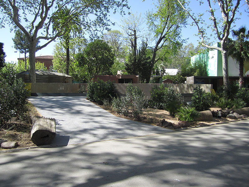 Banded mongoose exhibit - Zoo Barcelona