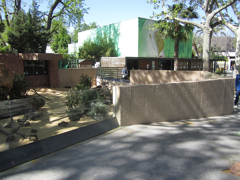 Banded mongoose exhibit - Zoo Barcelona