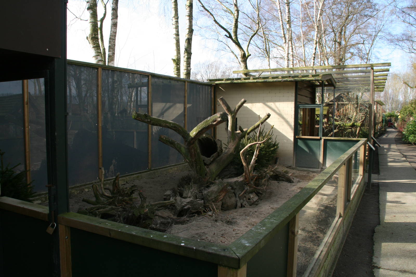 Banded mongoose exhibit