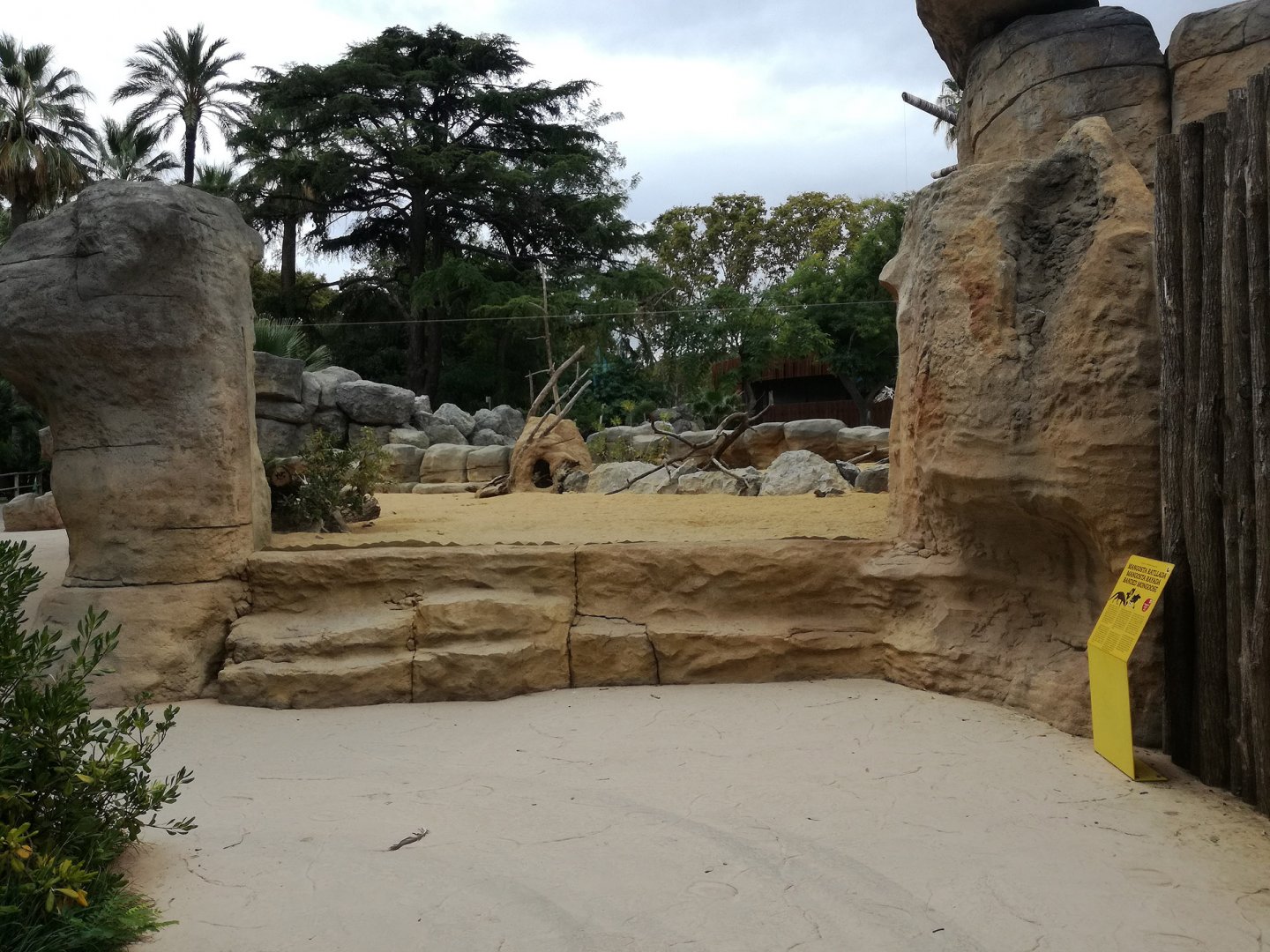 Banded mongoose exhibit