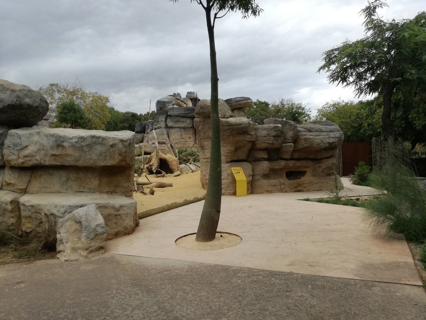 Banded mongoose exhibit