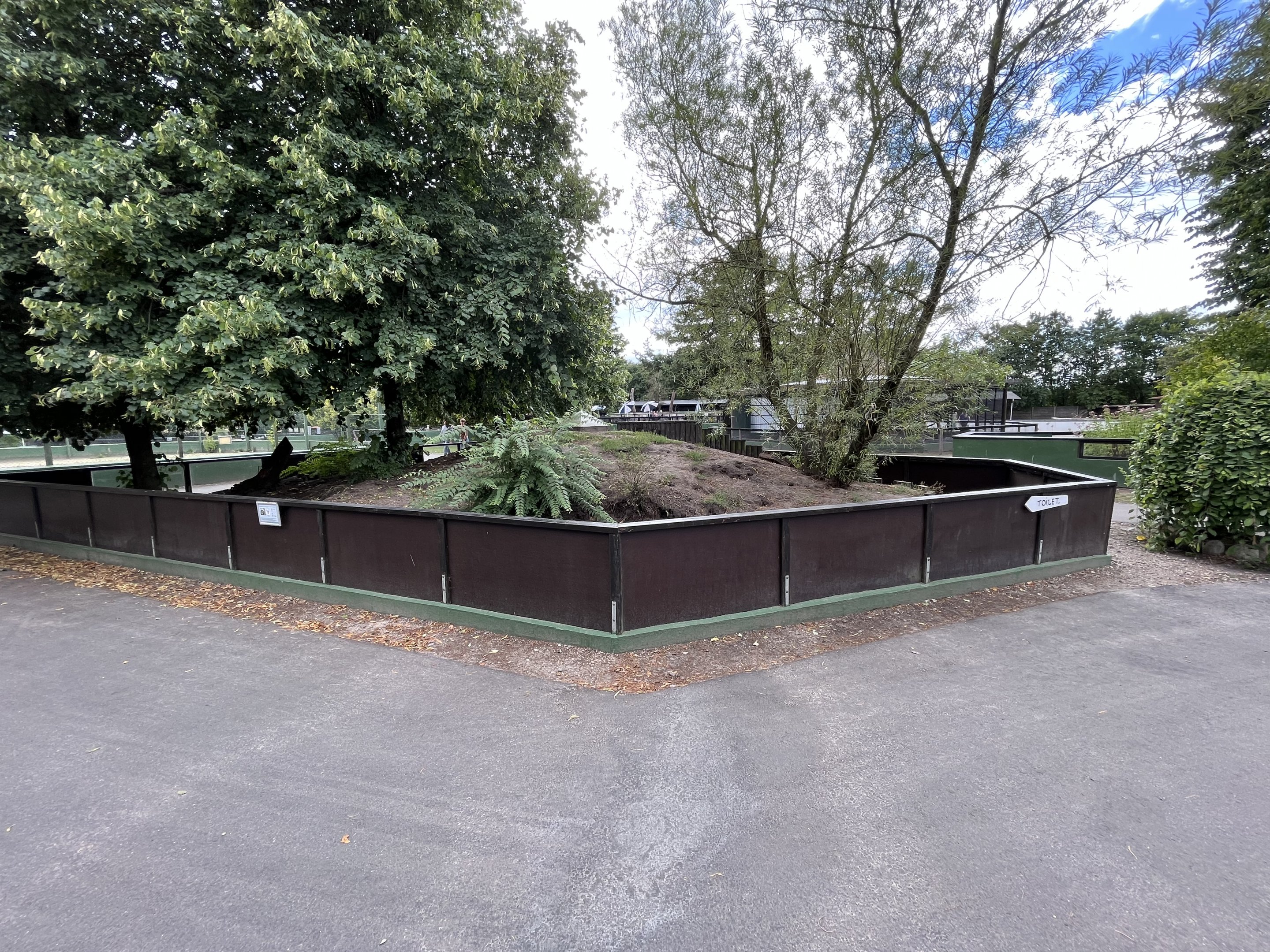 Banded Mongoose Exhibit
