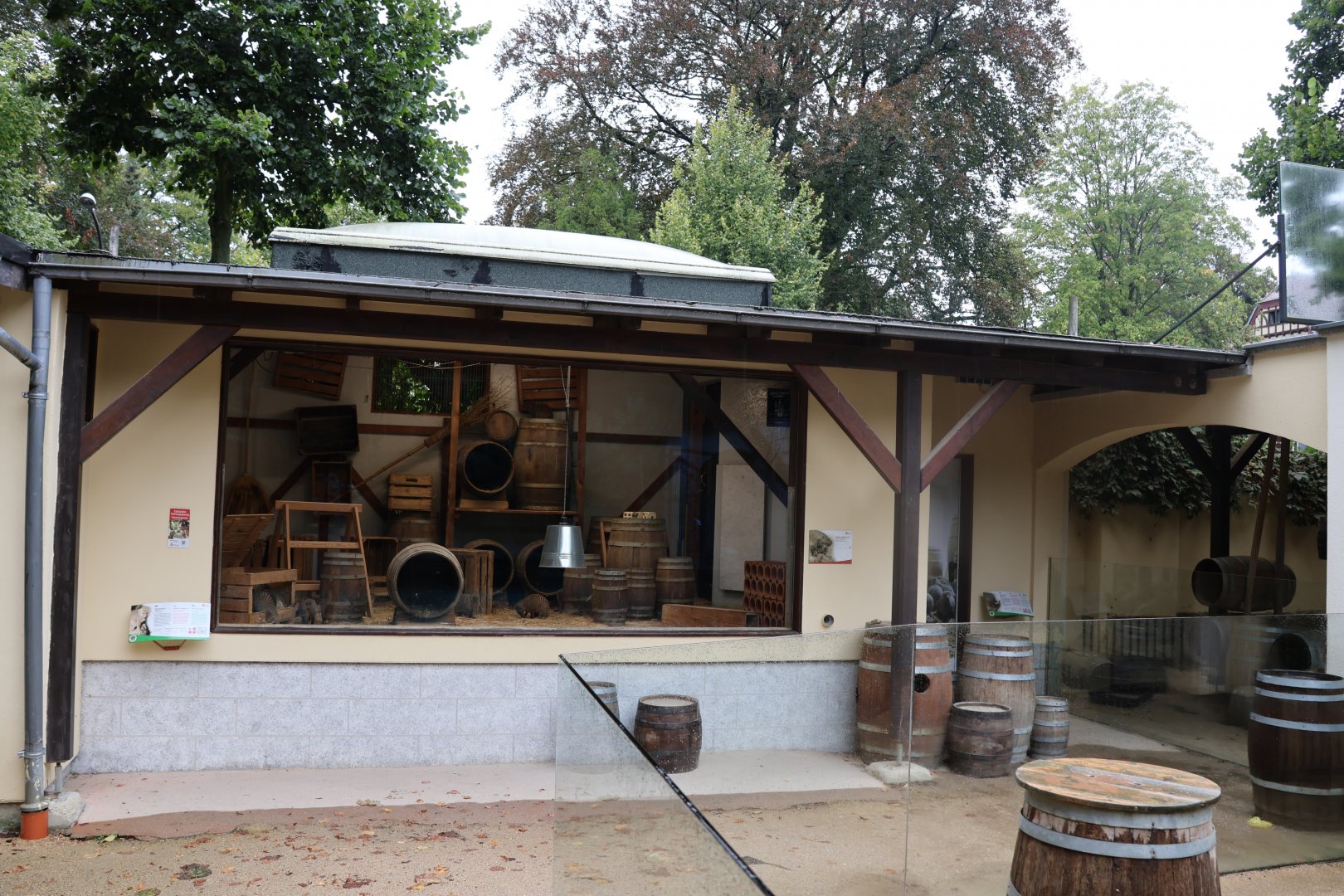 Banded mongoose exhibit