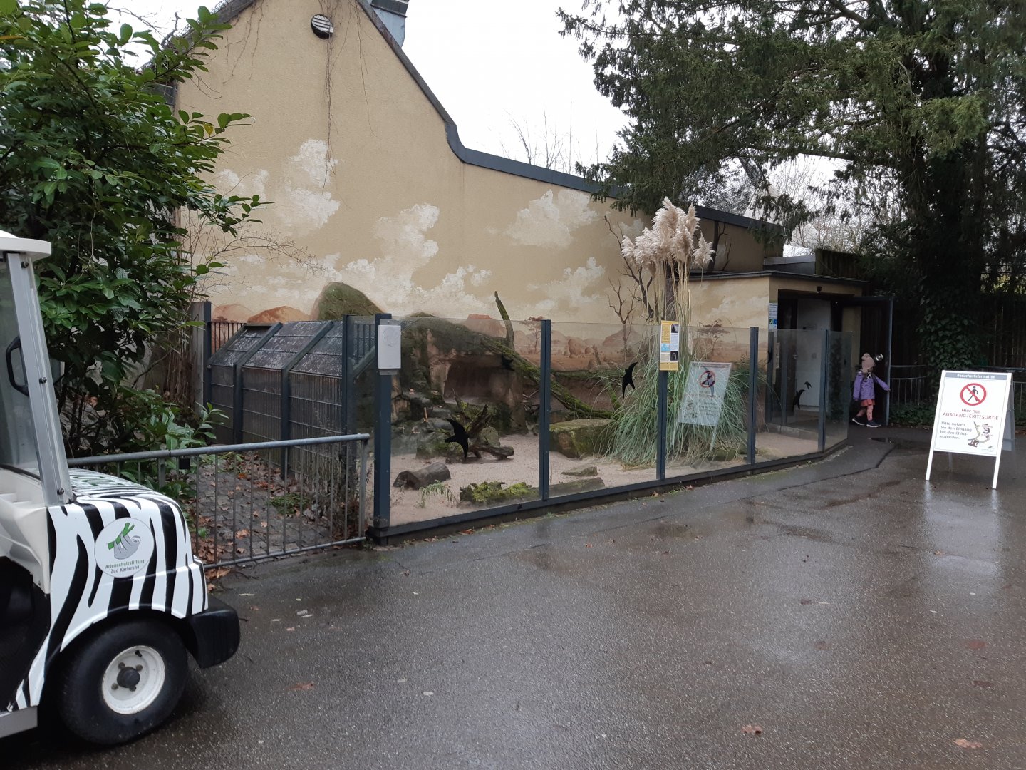 Banded Mongoose outdoor exhibit (former Fennec exhibit)
