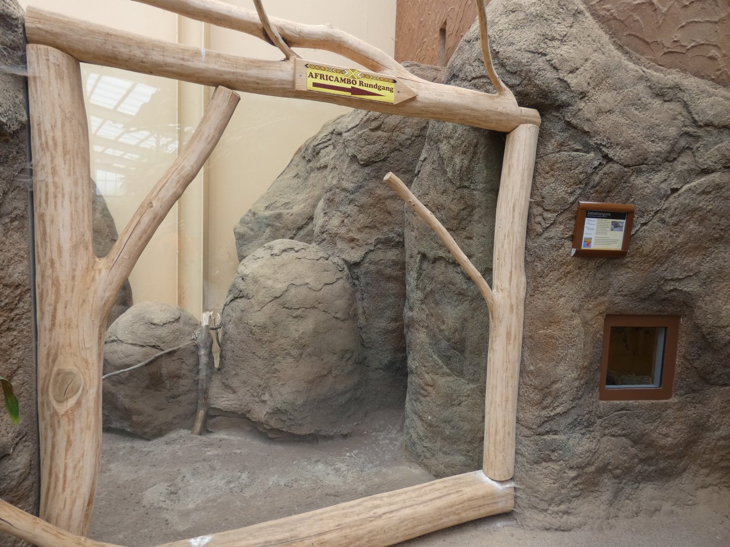 Banded Mongoose Viewing Area in Elephant House